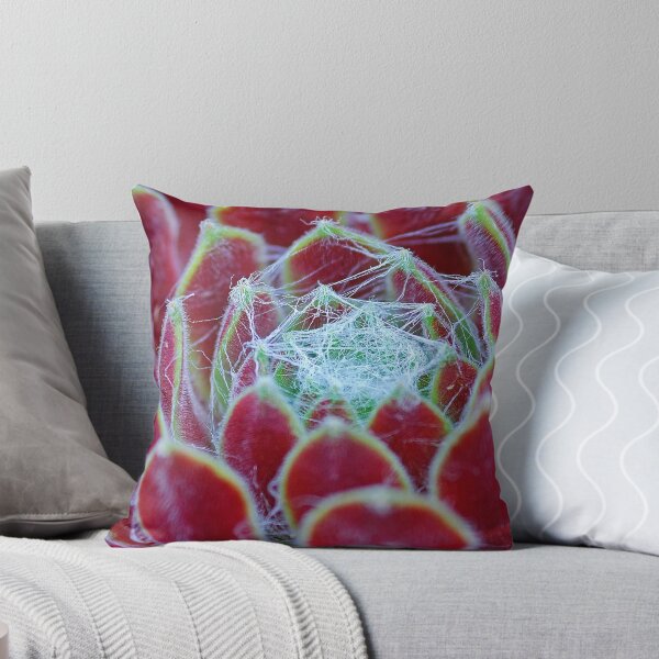 Item preview, Cactus designed and sold by axp7884.
