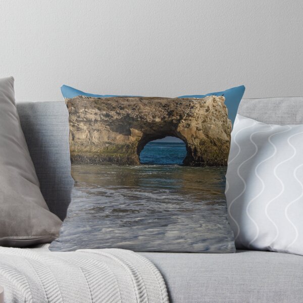 Item preview, Natural Bridges at Santa Cruz designed and sold by Richard Thelen.