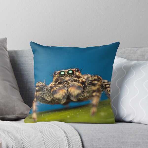 Item preview, Marpissa muscosa male jumping spider macro photo designed and sold by Mario Cehulic.