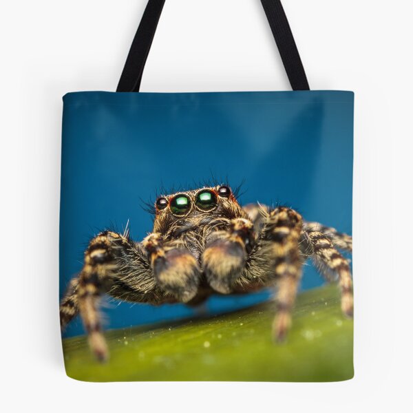 Item preview, Marpissa muscosa male jumping spider macro photo designed and sold by Mario Cehulic.