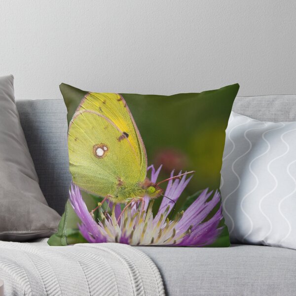 Item preview, Clouded Yellow designed and sold by Neil Bygrave (NATURELENS).