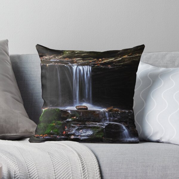 Kitchen Creek # 2 Throw Pillow