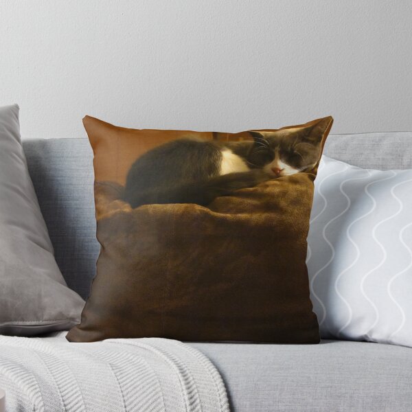 Item preview, King Morty Takes A Nap designed and sold by Guy Ricketts.
