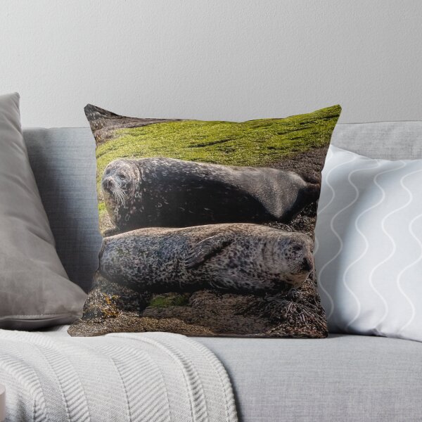 Seal Mates Throw Pillow