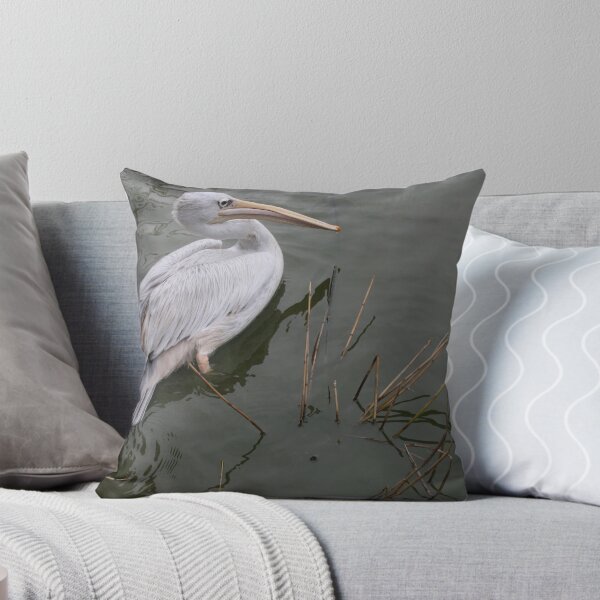 Artikelvorschau, Pelican entworfen und verkauft von Profo Folia.