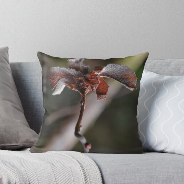 Item preview, Willow Cabbage Gall, Portrait designed and sold by cuilcreations.