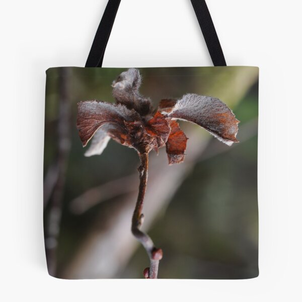 Item preview, Willow Cabbage Gall, Portrait designed and sold by cuilcreations.