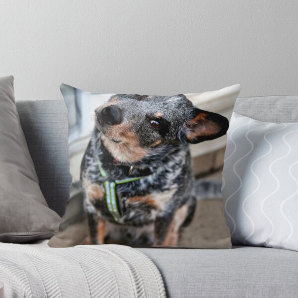 Item preview, Jax the Cattle Dog designed and sold by SamTheCowdog.