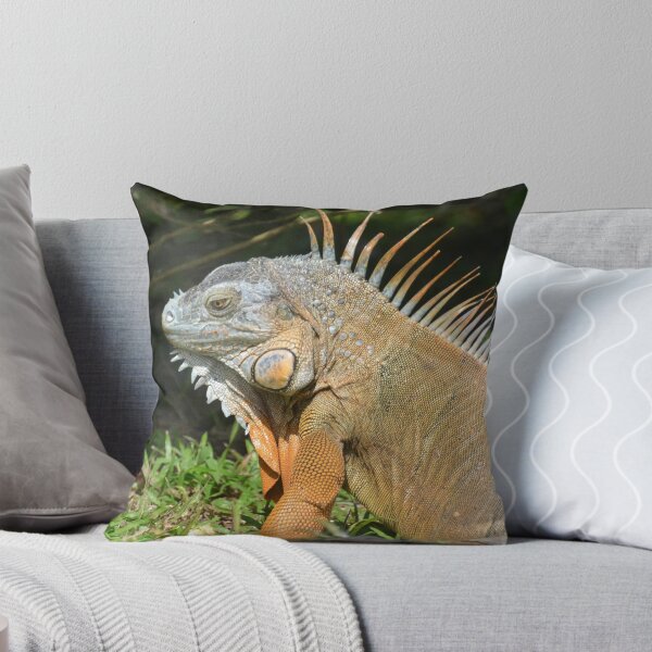Item preview, Iguana designed and sold by Margaret Shark.