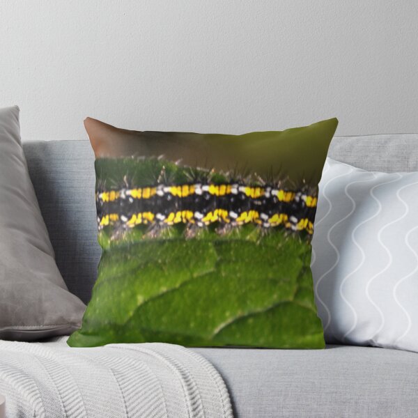 Item preview, Tiger Moth Caterpillar designed and sold by lynn carter.