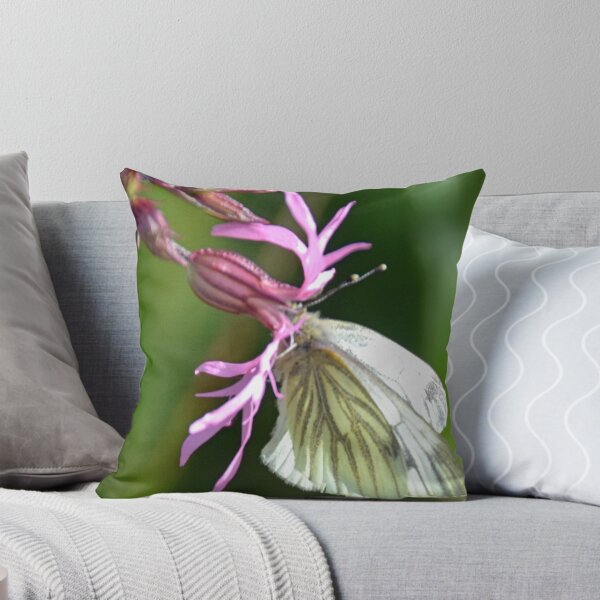 Item preview, Cabbage White Butterfly On A Pretty Wild Flower designed and sold by lynn carter.