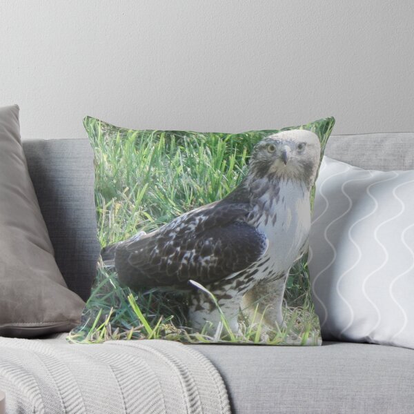 Item preview, ~ Whoooo Are You? ~ designed and sold by Claude Johnson.