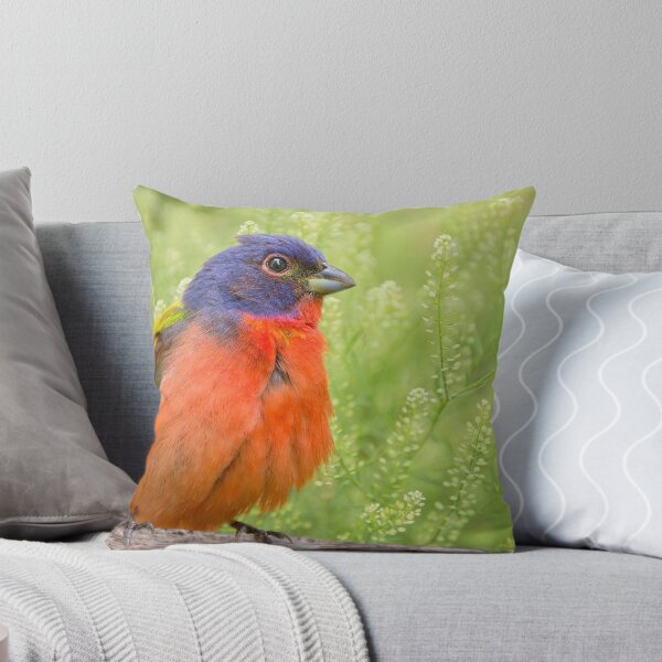 Item preview, Painted Bunting in Spring designed and sold by Bonnie T.  Barry.