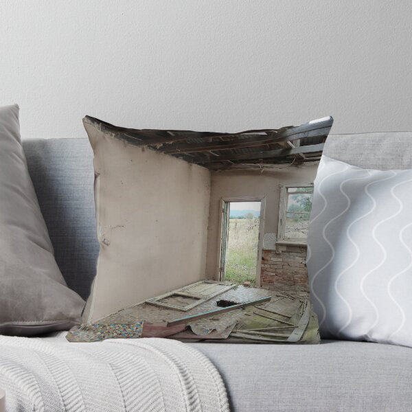 Item preview, Derelict house near Mudgee NSW designed and sold by DashTravels.