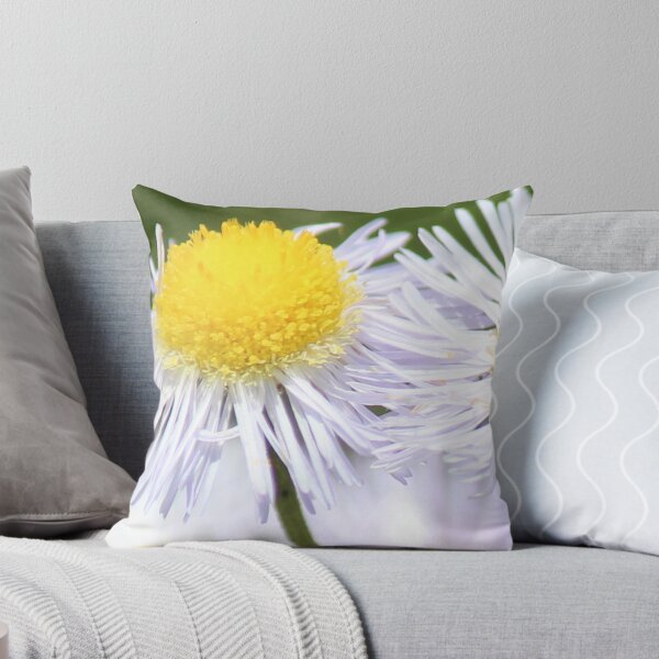 Item preview, Eastern Daisy Fleabane designed and sold by Bob Hardy.