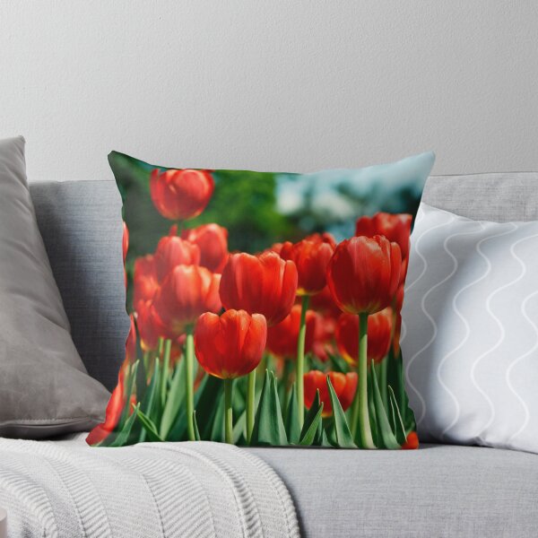 Artikelvorschau, Tulips - Ottawa, Canada entworfen und verkauft von Josef Pittner.