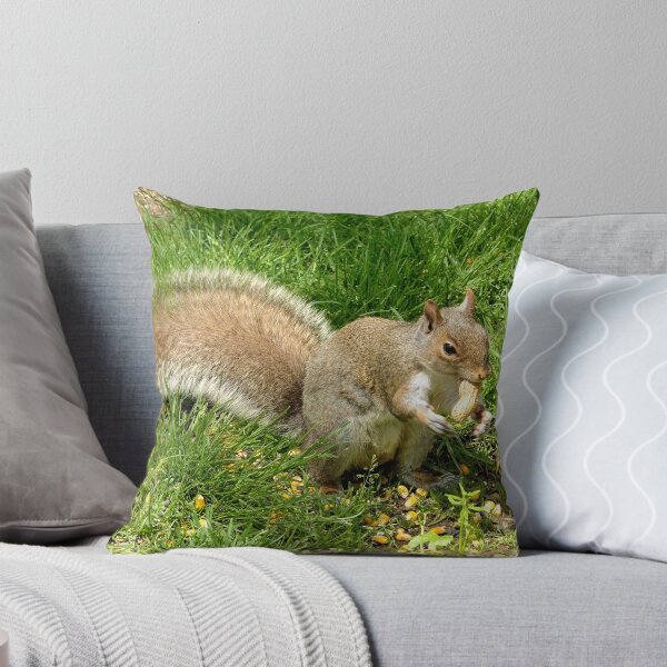 Item preview, Squirrel with a peanut. designed and sold by crspix.