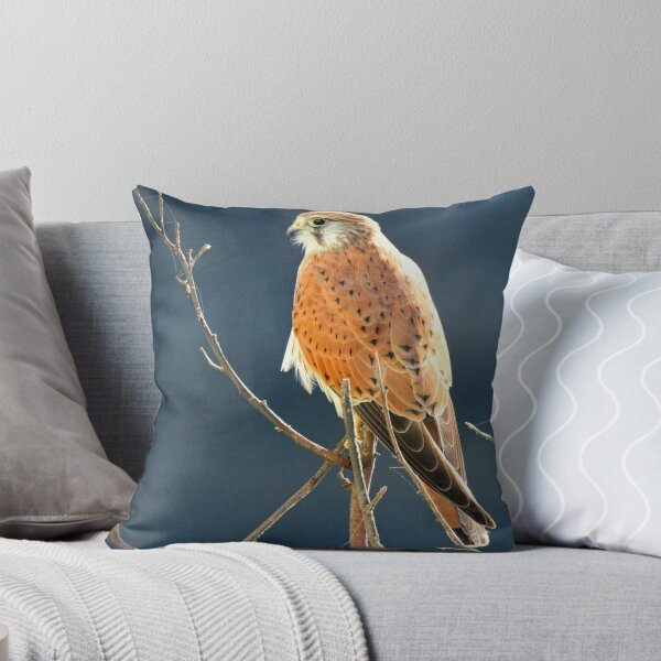 Item preview, A Nankeen Kestrel designed and sold by Anthony Goldman.