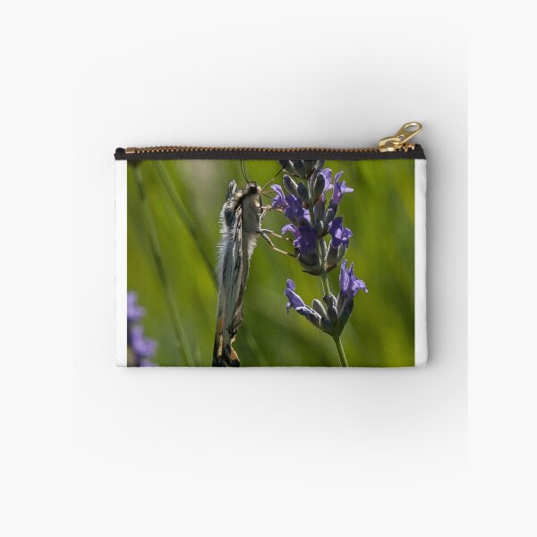 Item preview, Scarce swallowtail butterfly designed and sold by David Clarke.