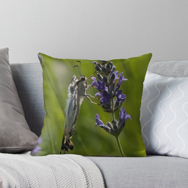 Item preview, Scarce swallowtail butterfly designed and sold by David Clarke.