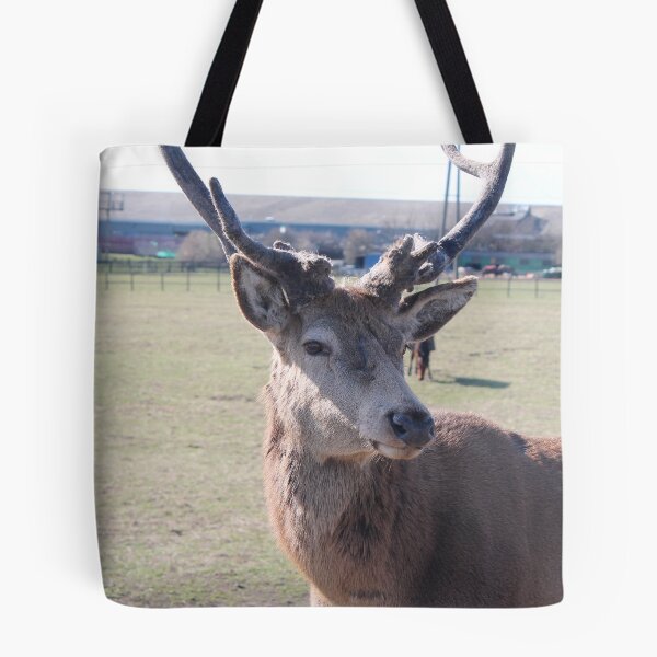 Item preview, the stag  designed and sold by adammann1.