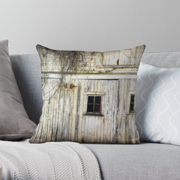 Rural Windows Throw Pillow