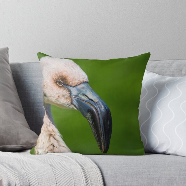 Item preview, Flamingo Chick designed and sold by Roger Hall.