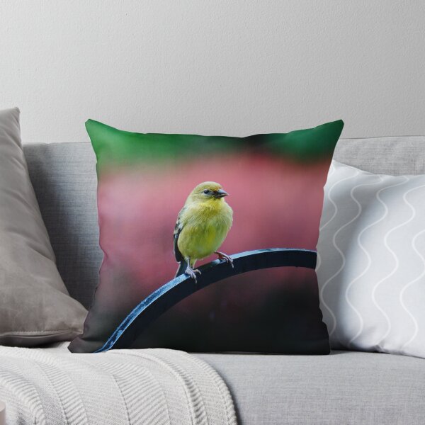 Item preview, Rain Bird designed and sold by AmishElectricCo.