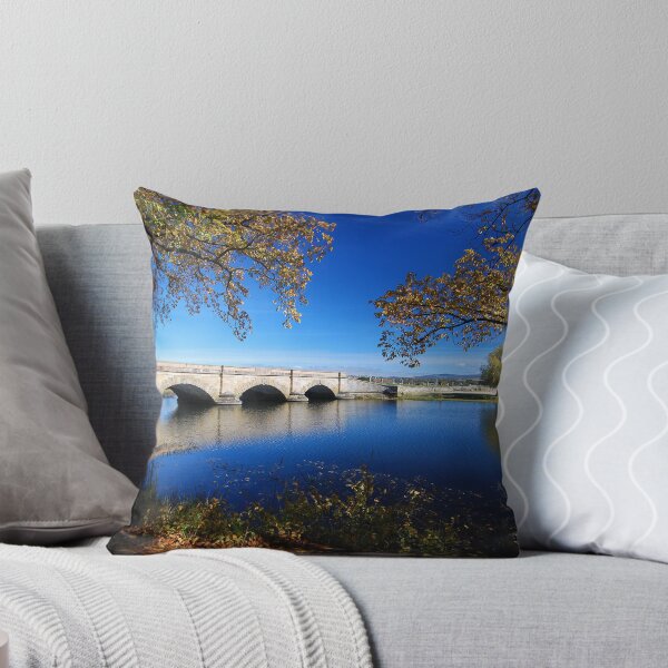 Item preview, Ross designed and sold by Kylie Reid.