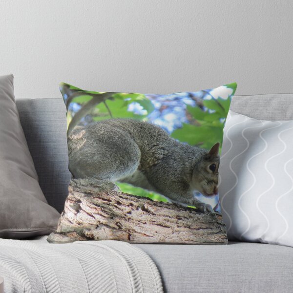 Item preview, "Come Back When You Have My Nuts!" designed and sold by Sandra Fortier.