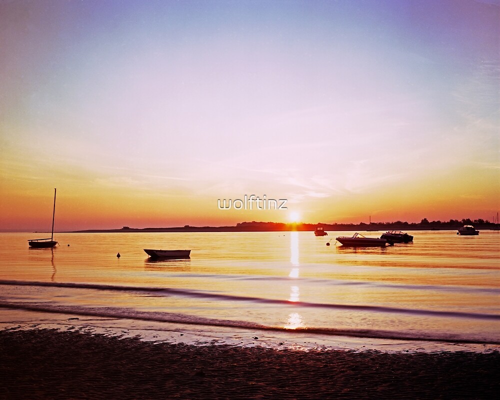 "Plum Island Sound Sunrise" by wolftinz Redbubble