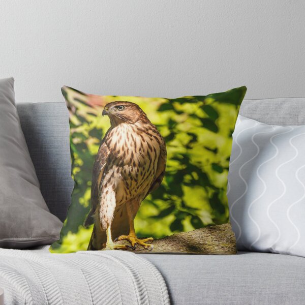 Item preview, Focused   designed and sold by James Marvin Phelps.