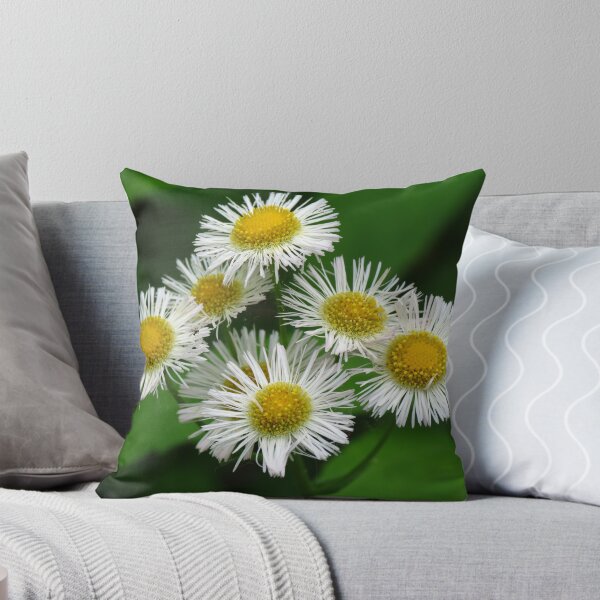 Item preview, Eastern Daisy Fleabane Bouquet with a Tiny Visitor designed and sold by Ron Russell.