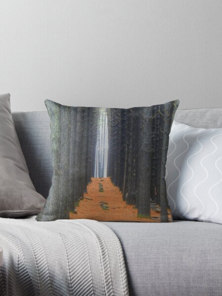 Item preview, Cathedral - Sugar Pine Walk Laurel Hill NSW - The HDR Experience designed and sold by Salieri1627.