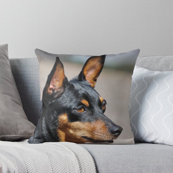Item preview, What?? designed and sold by LifePictures.