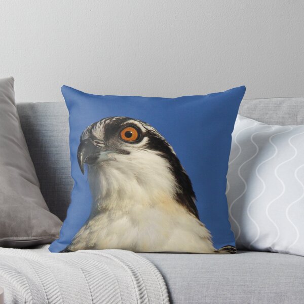Item preview, Juvenile osprey profile designed and sold by Anthony Goldman.