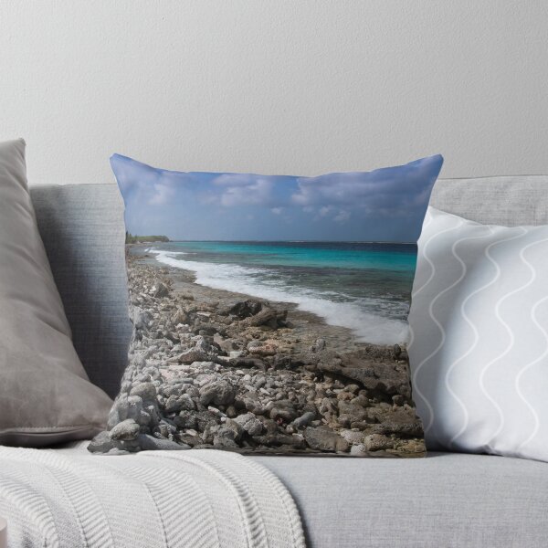 Aperçu de l'œuvre Bonaire coastline créée et vendue par Ralph Goldsmith.