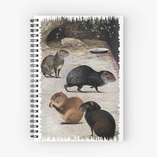 Item preview, South American Agoutis designed and sold by marmur.