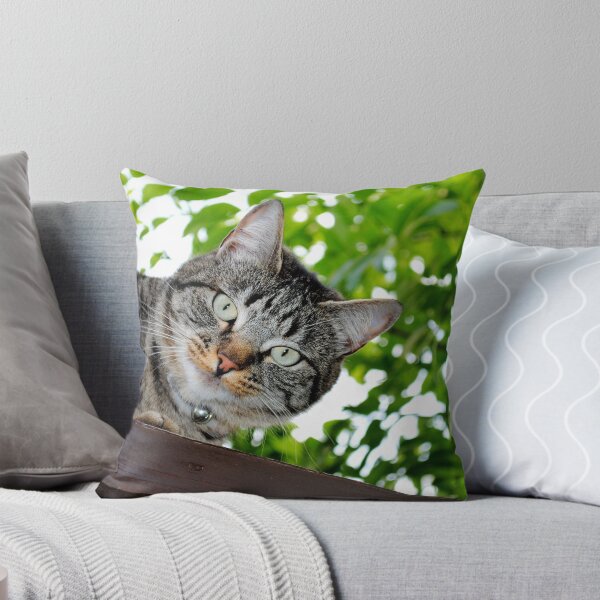 Item preview, Tabby on the shed roof  designed and sold by Jessica Warren.
