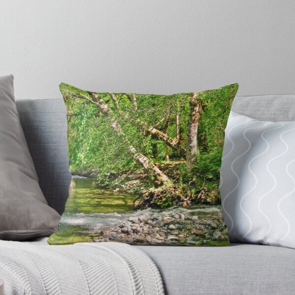 Item preview, swimming hole designed and sold by Bruce  Dickson.