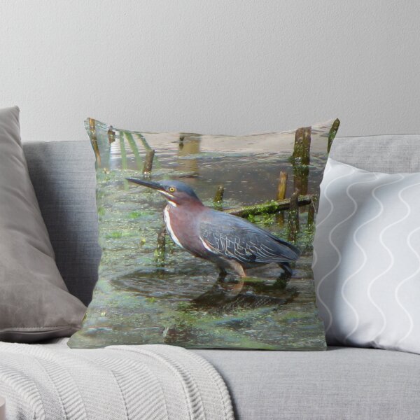 Item preview, Green Heron designed and sold by kimbarose.