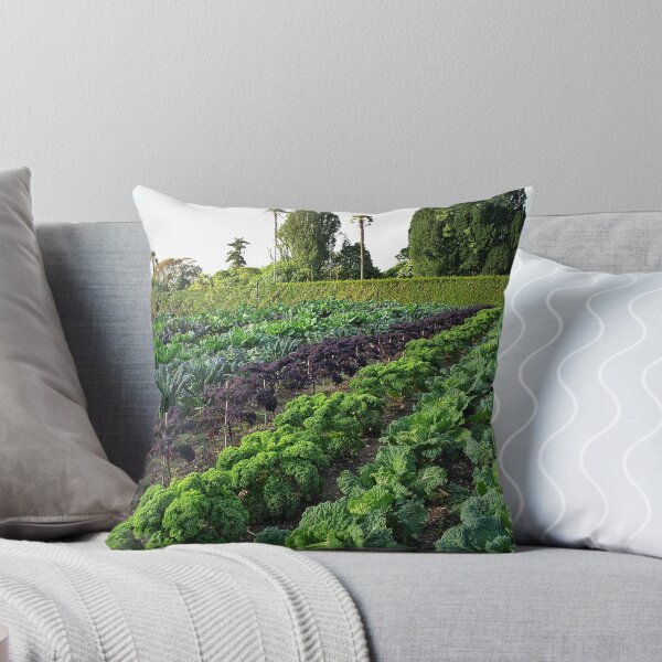 Item preview, Vegetables in a field designed and sold by Paulmayfield.
