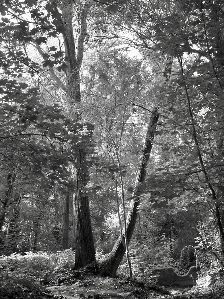 Thumbnail 4 of 4, Samsung Galaxy Phone Case, Inside the forest designed and sold by Raphanus.