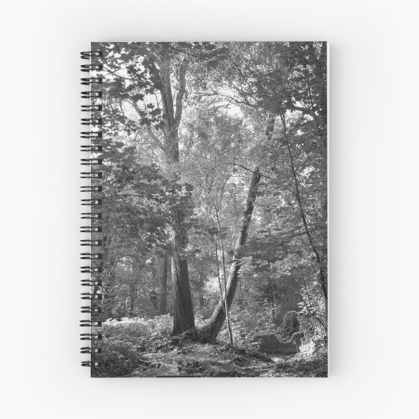 Item preview, Inside the forest designed and sold by Rafael López.