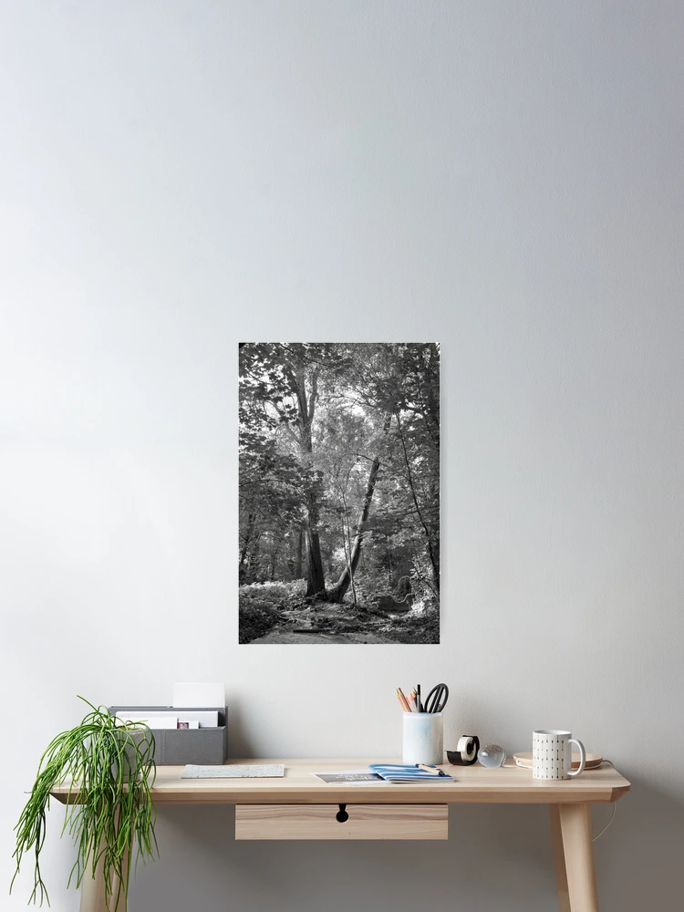 Thumbnail 2 of 3, Poster, Inside the forest designed and sold by Rafael López.
