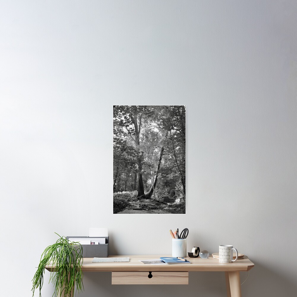 Item preview, Poster designed and sold by Raphanus.