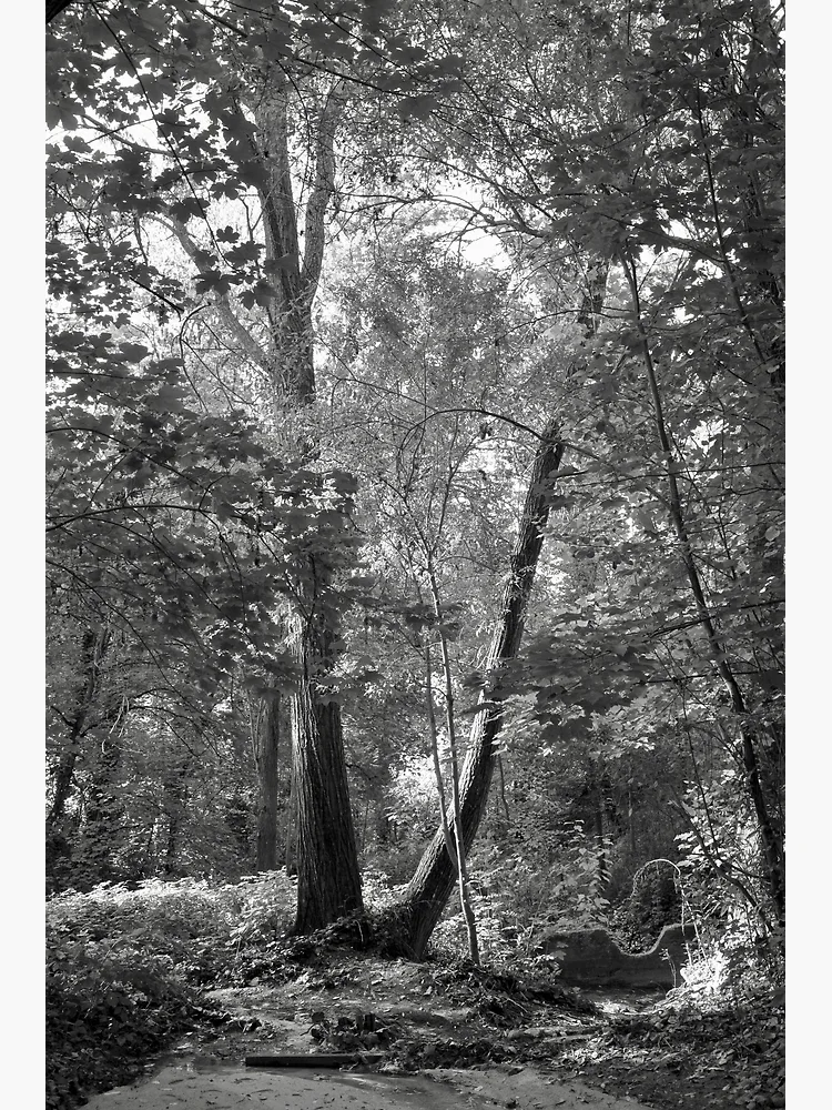 Thumbnail 3 of 3, Poster, Inside the forest designed and sold by Rafael López.