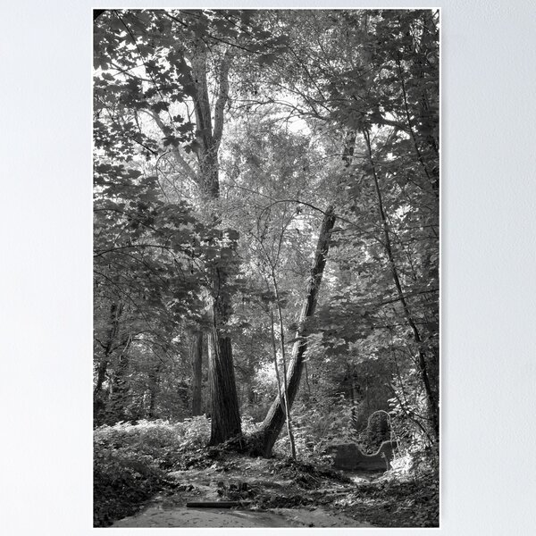 Item preview, Inside the forest designed and sold by Rafael López.