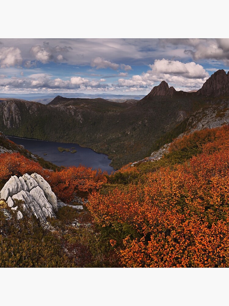Carpet of Fagus - Plateau Creek Cradle Mountain by Rhinochaser