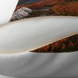 Alternate view of Carpet of Fagus - Plateau Creek Cradle Mountain Throw Pillow